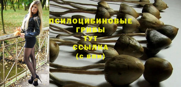скорость Лагань