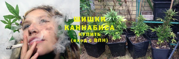 ПСИЛОЦИБИНОВЫЕ ГРИБЫ Армянск