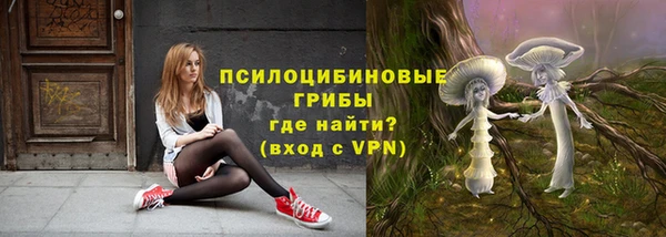 ПСИЛОЦИБИНОВЫЕ ГРИБЫ Армянск