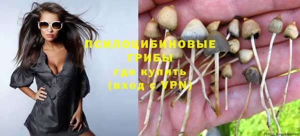 крисы Арсеньев