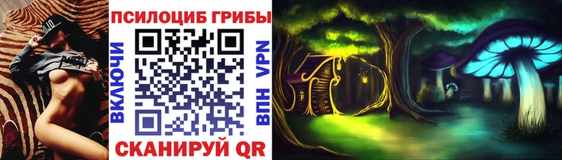 Псилоцибиновые грибы Psilocybine cubensis  Ревда 